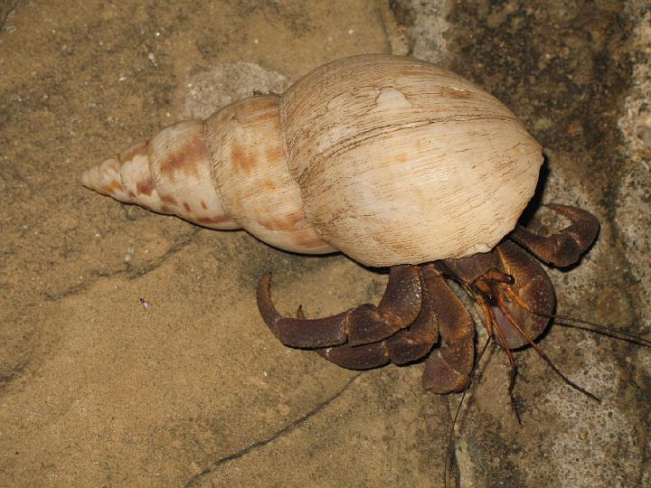 Kenya 138